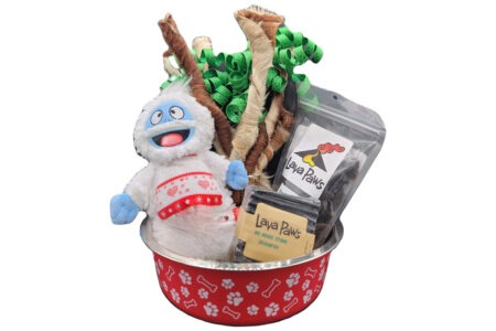 holiday gift bundle raw dog treats